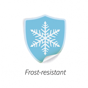 frost-resistant-car-wash-frp-grating